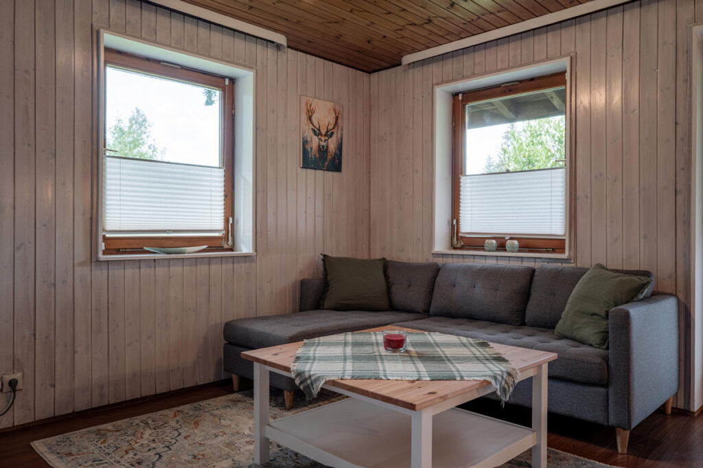 Typ_9_Wohnzimmer3